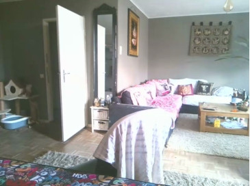 mihaimichael  14-11-2020 Recorded Video Porn