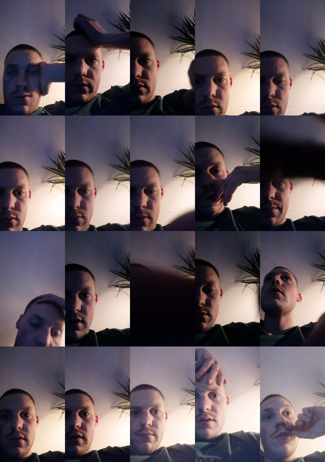 rippy1  14-11-2020 Recorded Video Webcam