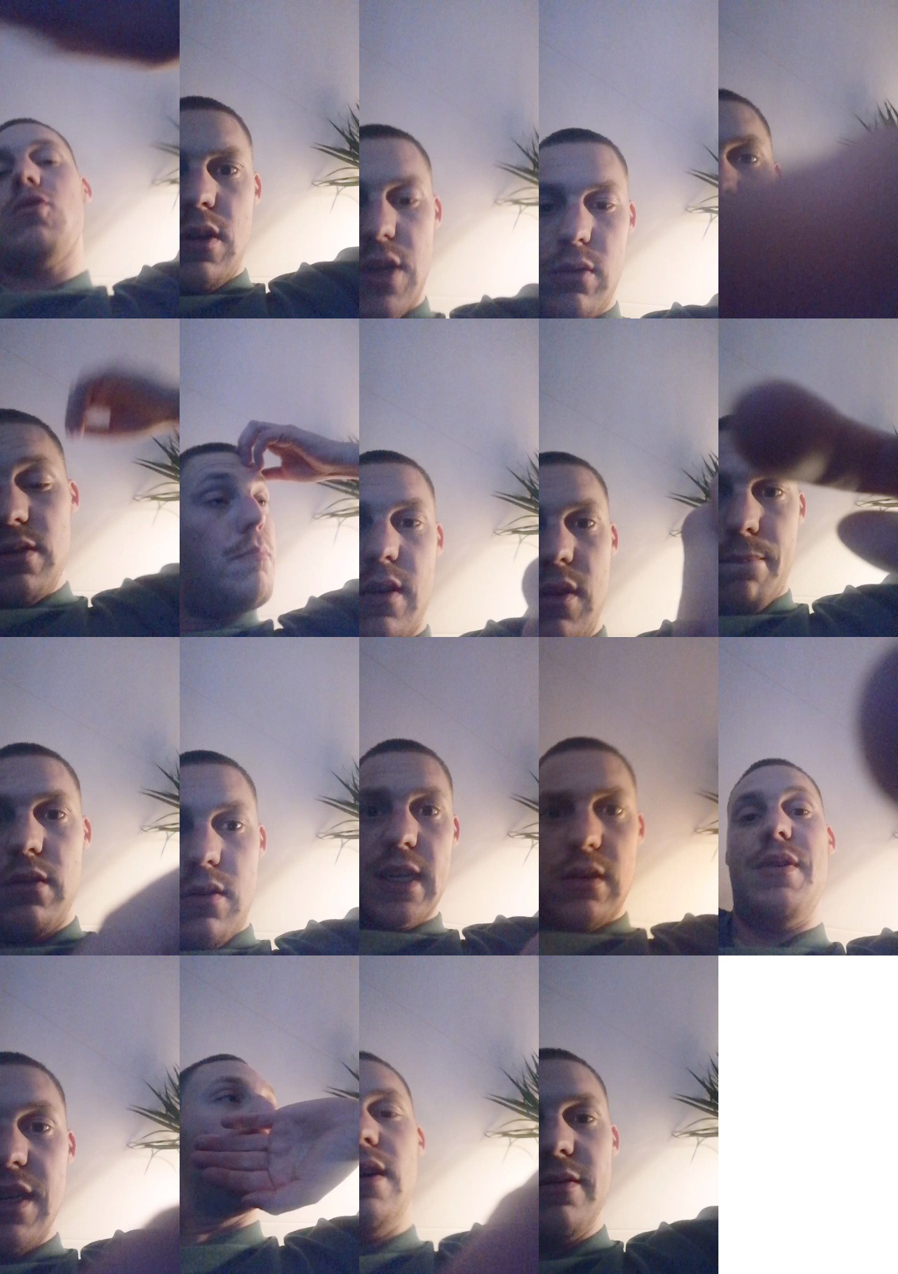 rippy1  14-11-2020 Recorded Video Cam