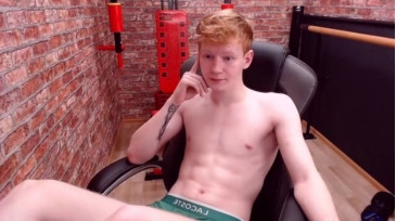 Alvin_Main  15-11-2020 video phone