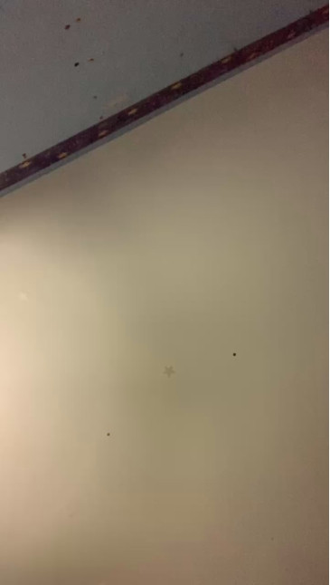 MilkyBBWMilf 18-11-2020 Wet 