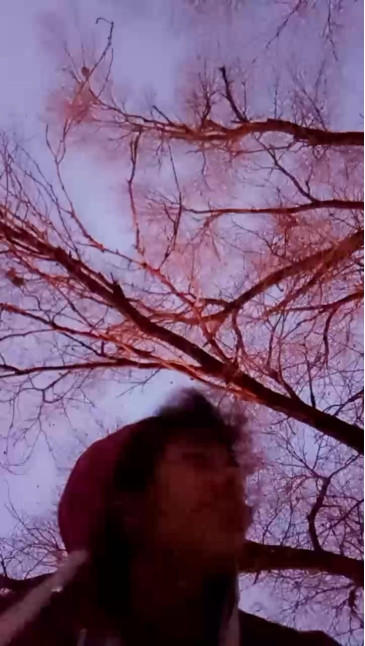 AmethystLei 19-11-2020 Wet 