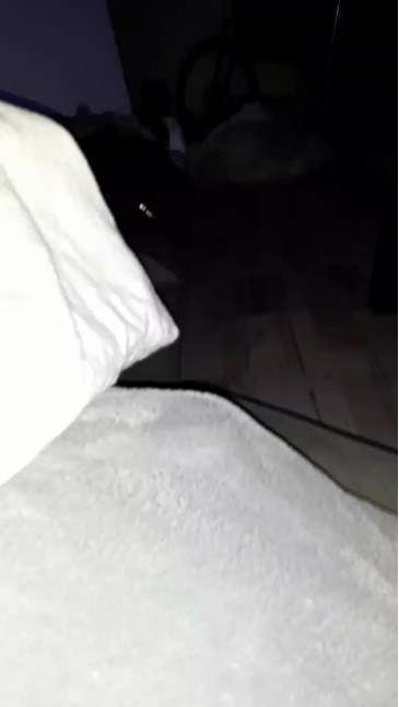 mrnixx  19-11-2020 Recorded Video Download