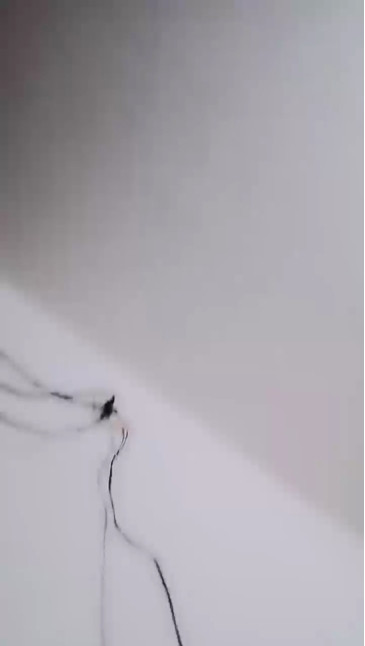 plumasex