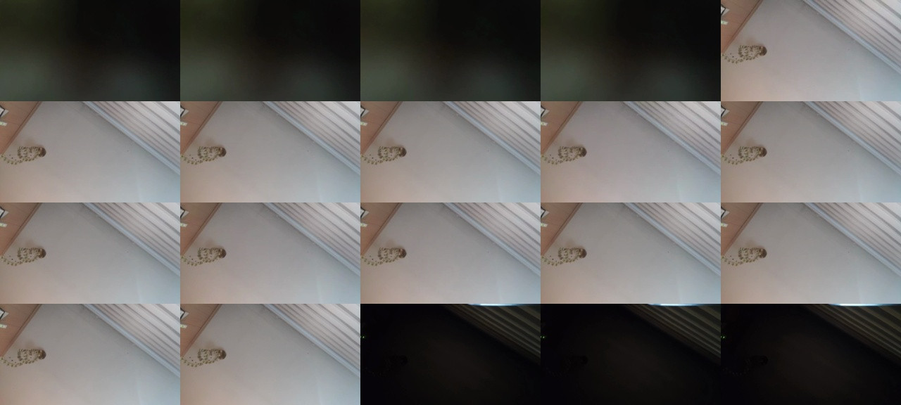 Willyversa  21-11-2020 Recorded Video Cam