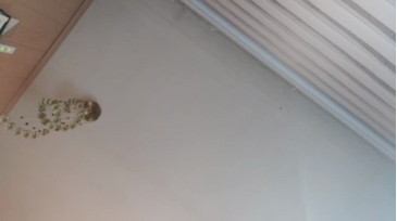 Willyversa  21-11-2020 Recorded Video Cam