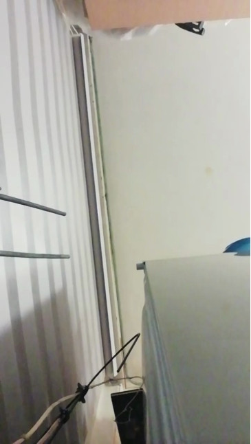 Willyversa  22-11-2020 Recorded Video Porn