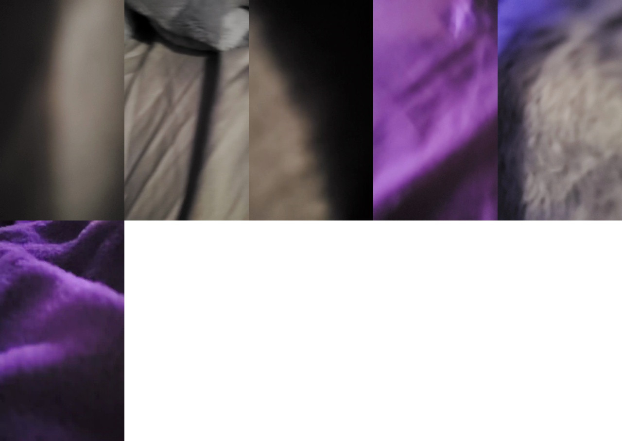 Mileybabyy 24-11-2020 Recorded 
