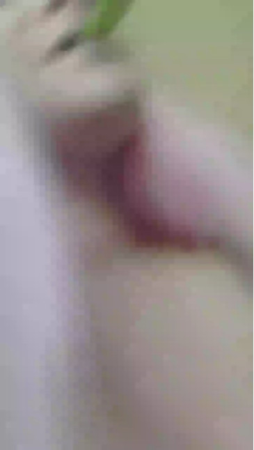 LadyMuave 24-11-2020 Ass 