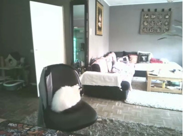 mihaimichael  26-11-2020 Recorded Video Webcam