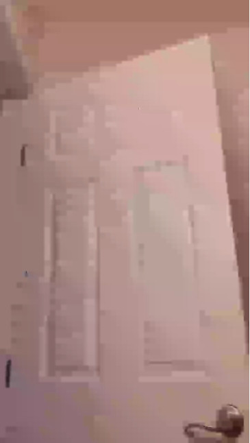Saberbooty  29-11-2020 fuckpussy Female
