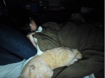 missrabbit 29-11-2020 love Female - HotWebcams