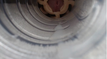 Jeffrodgerschaturbat  30-11-2020 video Naked