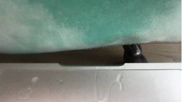 Lefty102938  30-11-2020 video outfits