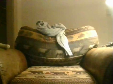 Tikipants 29-11-2020 Webcam 