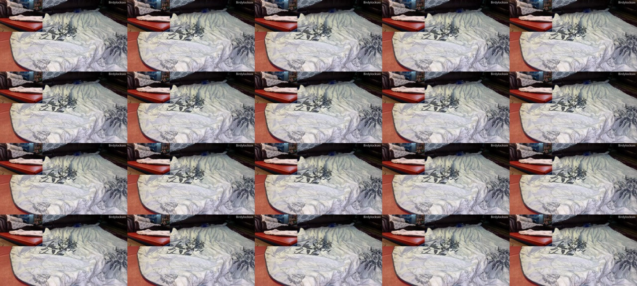 Birdylocksxx 01-12-2020 Video 