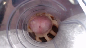 Jeffrodgerschaturbat  01-12-2020 video makemecum