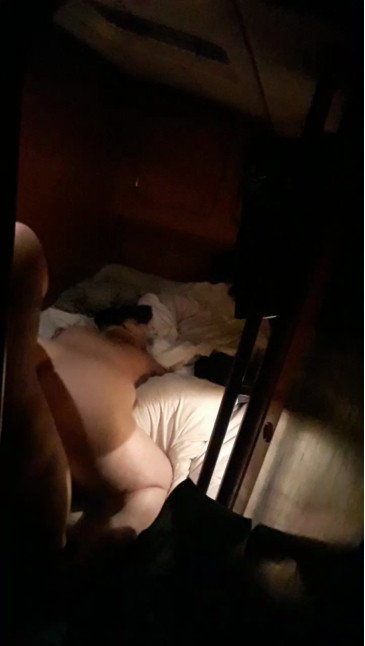 Seabirds 02-12-2020 Video 