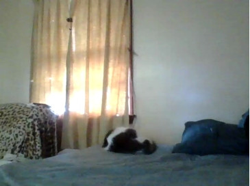 jaderoselove 07-12-2020 Cam 