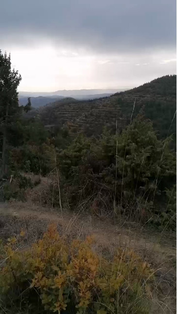 kasket45  07-12-2020 video Gay