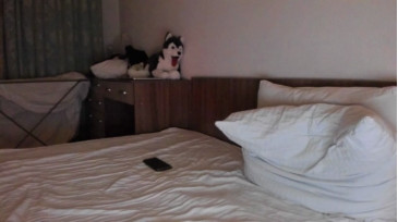 Jeffrey_Grand  08-12-2020 video ginger