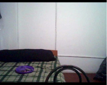 sex_pigs  08-12-2020 video analdeep