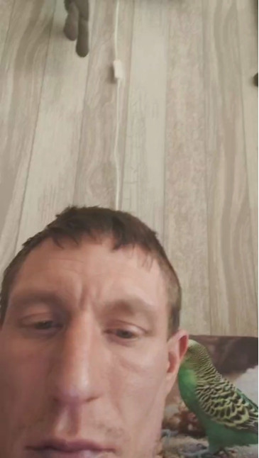 Willyversa  10-12-2020 video bigtoys