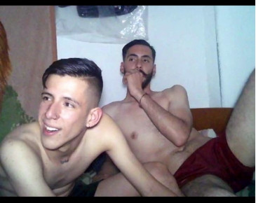 sex_pigs  08-12-2020 Recorded Video Download