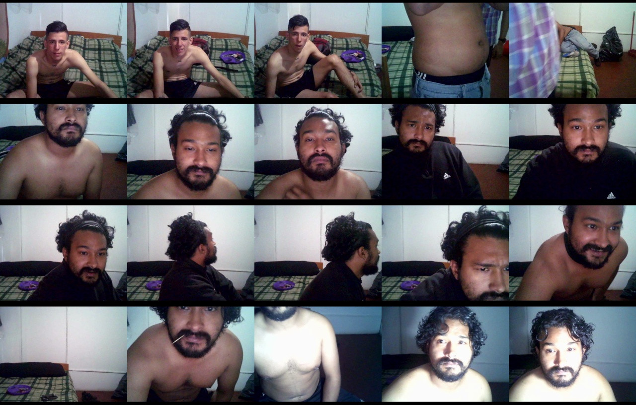 sex_pigs  08-12-2020 Recorded Video Download