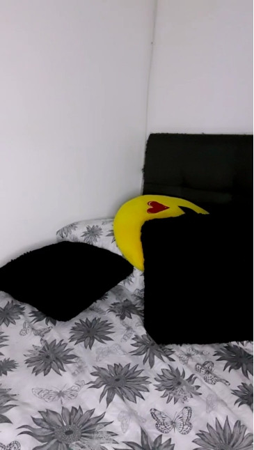 MonyCat_  10-12-2020 DIDN Female