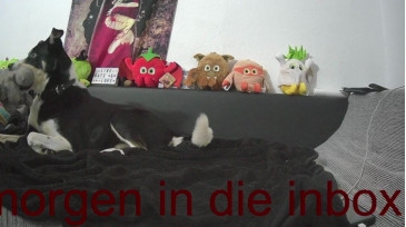 Tastit4cs  10-12-2020 video submission