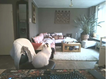 mihaimichael  11-12-2020 Recorded Video Nude