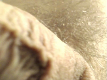 pioux  09-12-2020 Recorded Video XXX