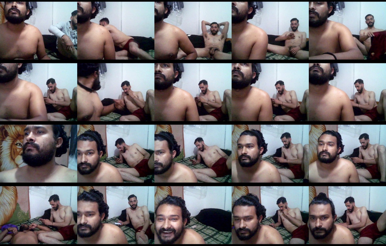 sex_pigs  11-12-2020 Recorded Video Download