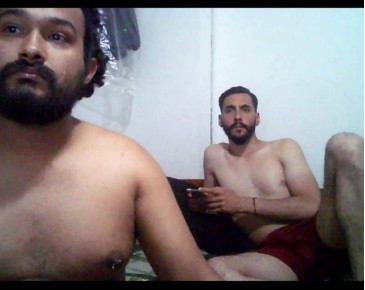 sex_pigs  11-12-2020 Recorded Video Download