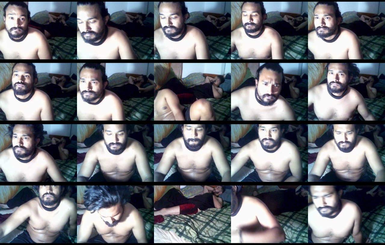 sex_pigs  11-12-2020 Recorded Video Cam