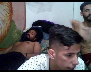 sex_pigs  11-12-2020 Recorded Video Porn