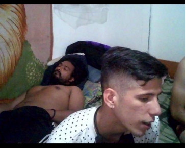 sex_pigs  11-12-2020 video all naked