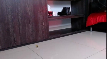 BarebackCumPig  12-12-2020 Recorded Video Download