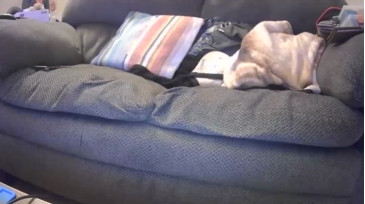 Jacen1  12-12-2020 video Gay