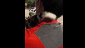 Topganhotty  12-12-2020 video sugarbaby