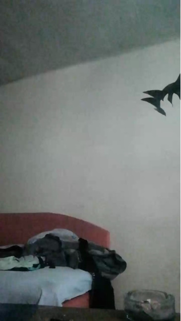 bro_boy  12-12-2020 video big-ass