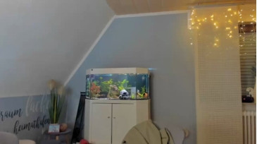 ronhill13  11-12-2020 Recorded Video XXX