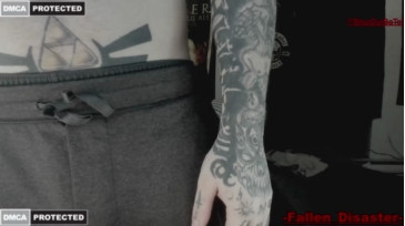 Fallen_Disaster  13-12-2020 video kitty