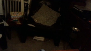 BiLoyal39  14-12-2020 video fun