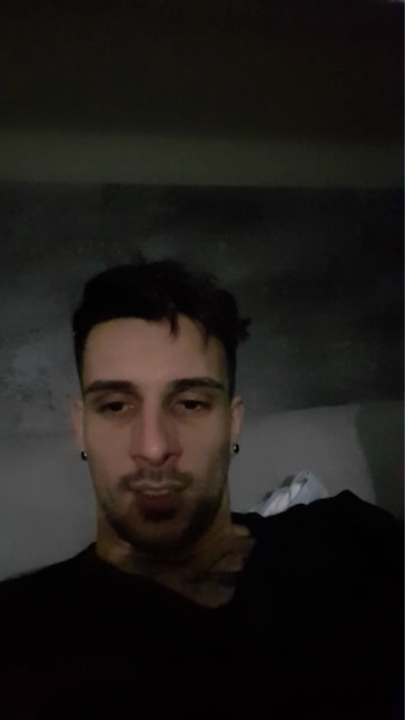 SteveFox533
