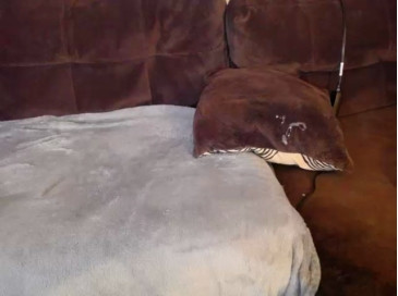 Chocolateknight90  16-12-2020 video smilebitch