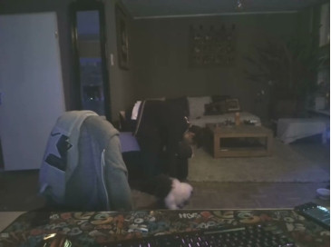 mihaimichael  16-12-2020 Recorded Video Webcam