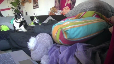 Tastit4cs  17-12-2020 video rim