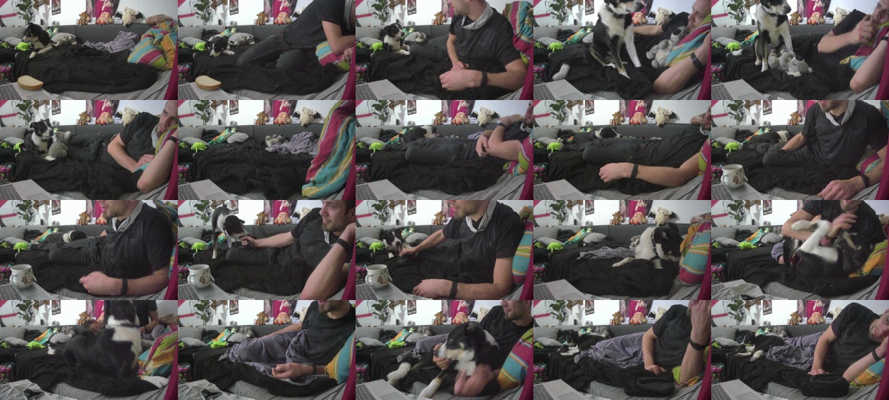Tastit4cs  17-12-2020 Recorded Video Cam